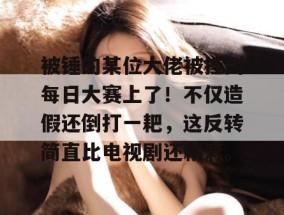 被锤的某位大佬被挂到每日大赛上了！不仅造假还倒打一耙，这反转简直比电视剧还精彩。